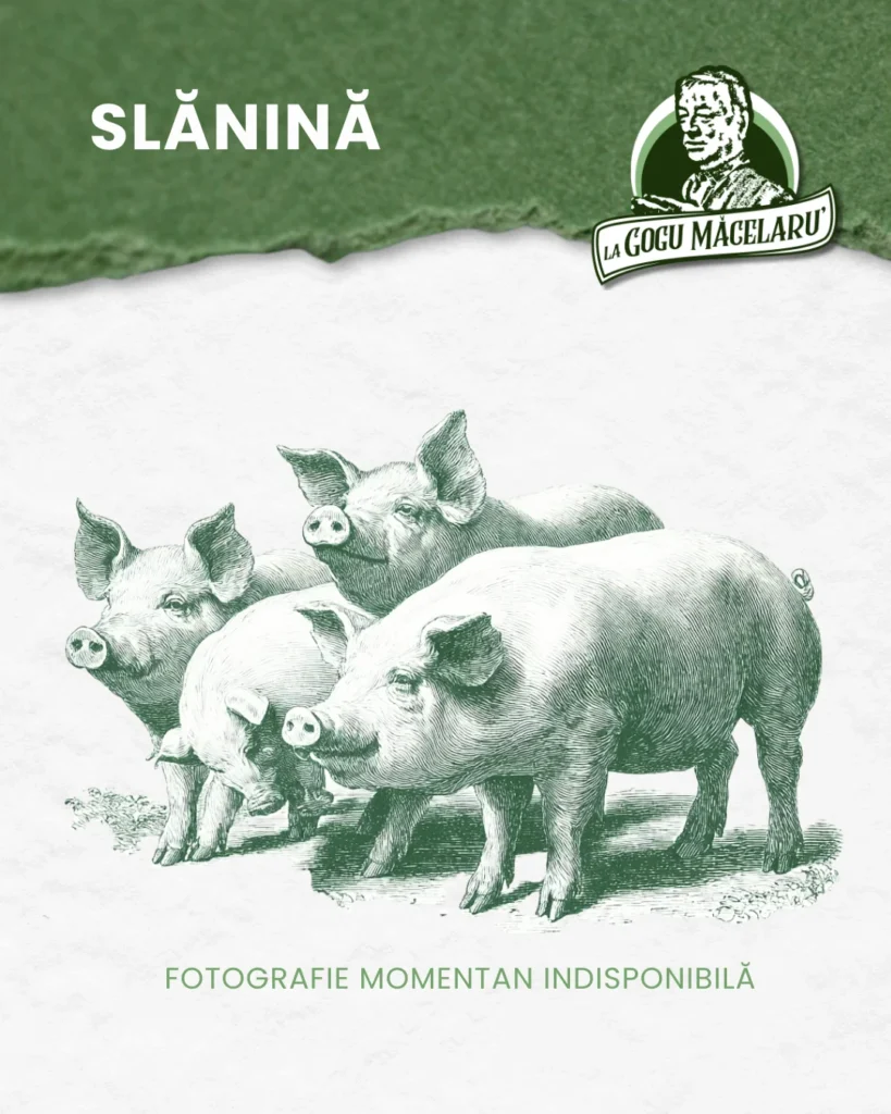 Slanina de porc